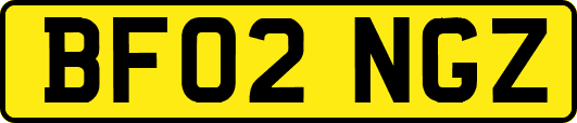 BF02NGZ