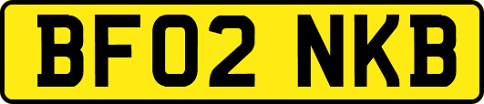BF02NKB