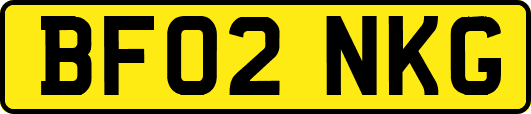 BF02NKG