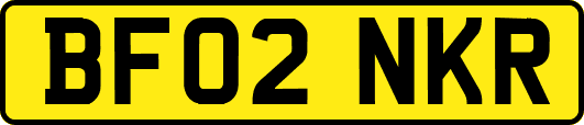 BF02NKR
