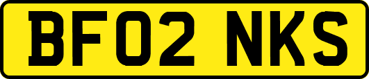BF02NKS