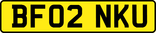 BF02NKU