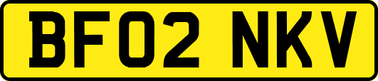 BF02NKV