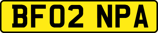 BF02NPA