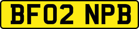 BF02NPB