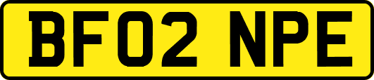 BF02NPE