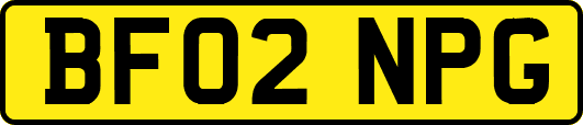 BF02NPG