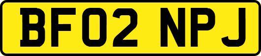 BF02NPJ