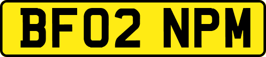 BF02NPM