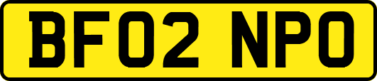 BF02NPO