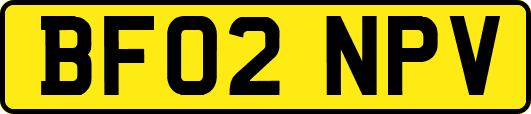 BF02NPV