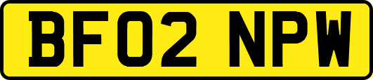 BF02NPW