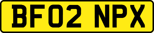 BF02NPX