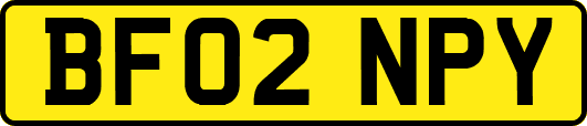 BF02NPY