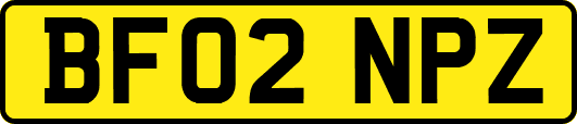 BF02NPZ