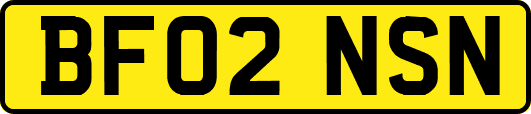 BF02NSN