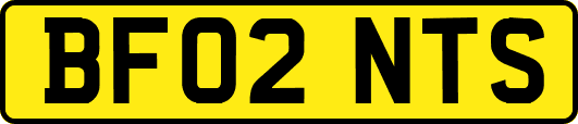 BF02NTS