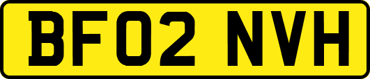 BF02NVH