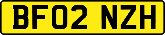 BF02NZH