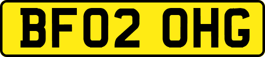 BF02OHG