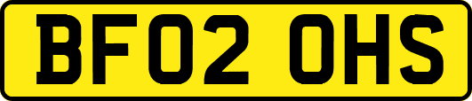 BF02OHS