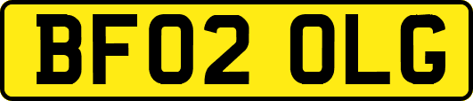 BF02OLG