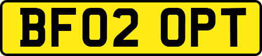 BF02OPT