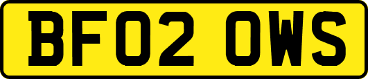 BF02OWS