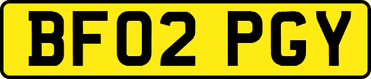 BF02PGY