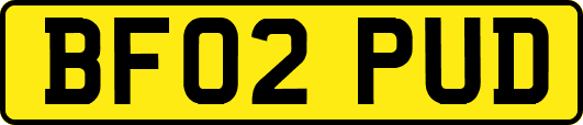 BF02PUD