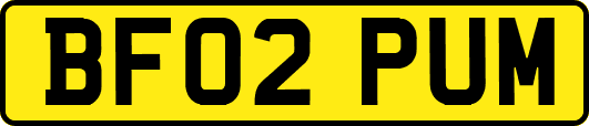 BF02PUM