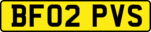 BF02PVS