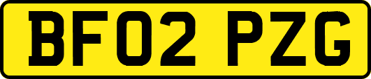 BF02PZG