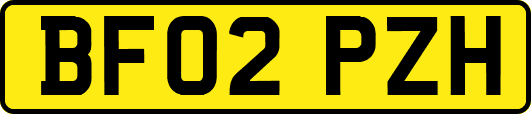 BF02PZH