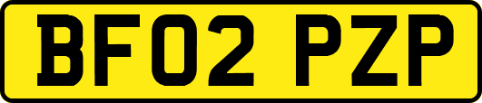 BF02PZP