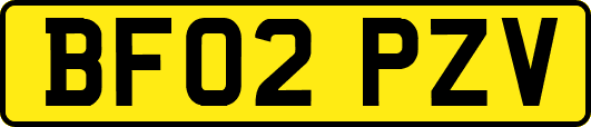 BF02PZV