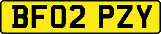 BF02PZY