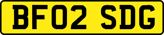BF02SDG