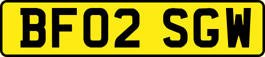 BF02SGW
