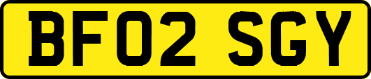 BF02SGY