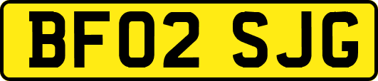 BF02SJG