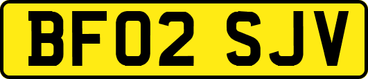BF02SJV