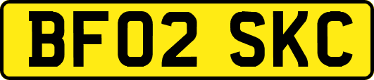 BF02SKC