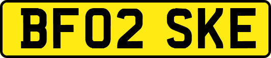 BF02SKE