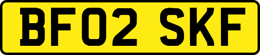 BF02SKF