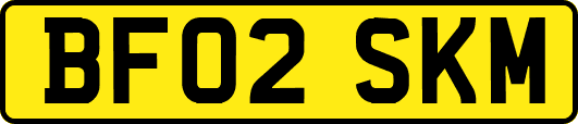 BF02SKM