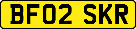 BF02SKR