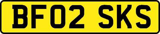 BF02SKS