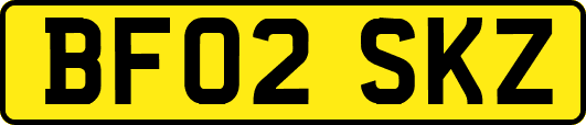 BF02SKZ