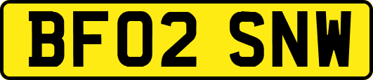 BF02SNW